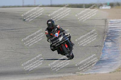 media/Oct-29-2023-Carters at The Track (Sun) [[b2bb4383ab]]/B Plus/120pm (Outside Grapevine)/